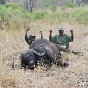 Hunting Buffalo with Pelandaba Safaris in Zimbabwe