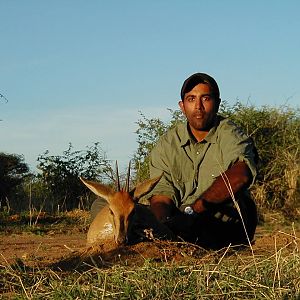 Hunting Duiker in Namibia