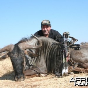 Bowhunting Blue Wildebeest in Namibia