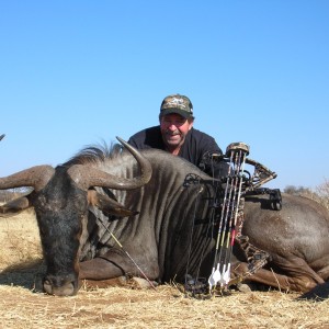 Bowhunting Blue Wildebeest in Namibia