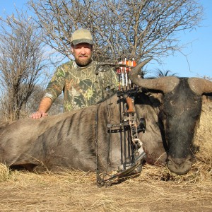 Bowhunting Blue Wildebeest in Namibia