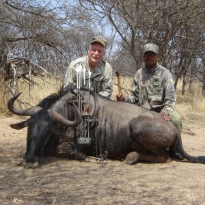 Bowhunting Blue Wildebeest in Namibia