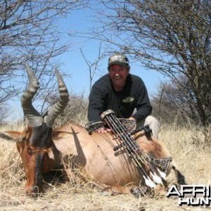 Bowhunting Hartebeest in Namibia