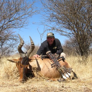 Bowhunting Hartebeest in Namibia