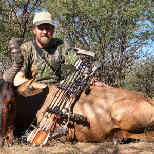 Bowhunting Hartebeest in Namibia