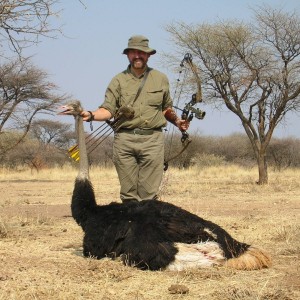 Bowhunting Ostrich in Namibia