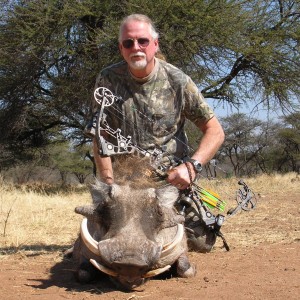 Bowhunting Warthog in Namibia