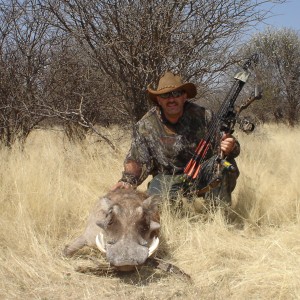 Bowhunting Warthog in Namibia