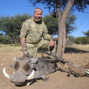 Bowhunting Warthog in Namibia