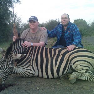 Hunting Zebra