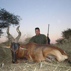 Hunting Red Hartebeest in Namibia