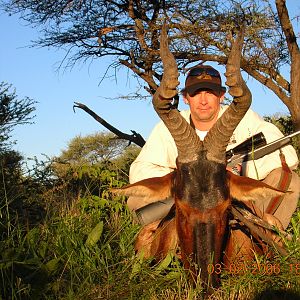 Hunting Red Hartebeest in Namibia