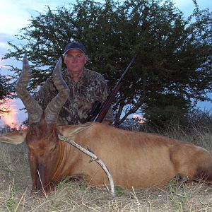 Hunting Red Hartebeest in Namibia