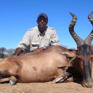 Hunting Red Hartebeest in Namibia