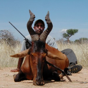 Hunting Red Hartebeest in Namibia