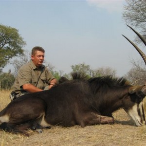 Sable - Matetsi Zimbabwe