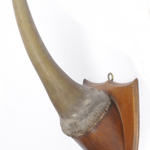 White Rhinoceros Horn