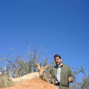 Hunting Steenbok in Namibia