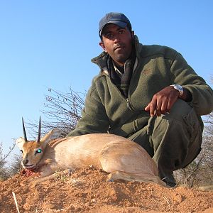 Hunting Steenbok in Namibia