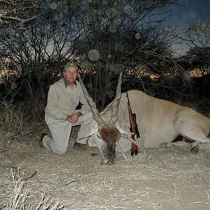 Hunting Cape Eland in Namibia