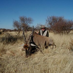 Hunting Cape Eland in Namibia