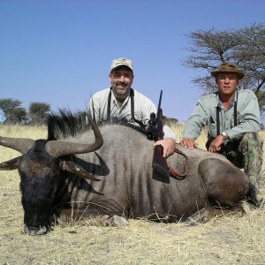 Hunting Blue Wildebeest in Namibia