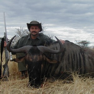 Hunting Blue Wildebeest in Namibia