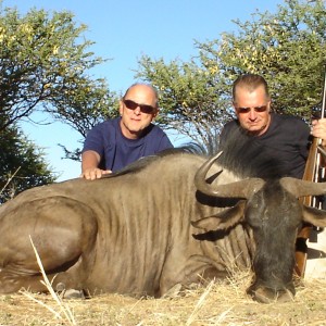 Hunting Blue Wildebeest in Namibia