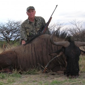 Hunting Blue Wildebeest in Namibia