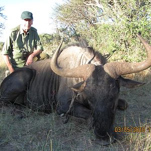 Hunting Blue Wildebeest in Namibia