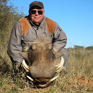 Hunting Warthog in Namibia