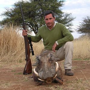 Hunting Warthog in Namibia