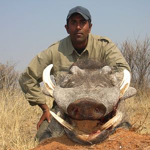 Hunting Warthog in Namibia