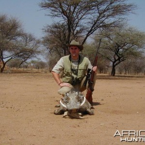 Hunting Warthog in Namibia