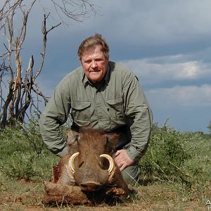 Hunting Warthog in Namibia