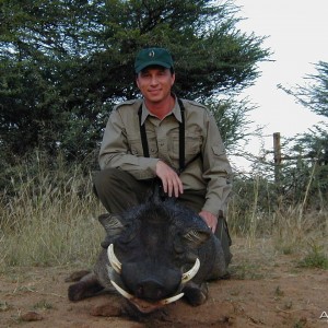 Hunting Warthog in Namibia