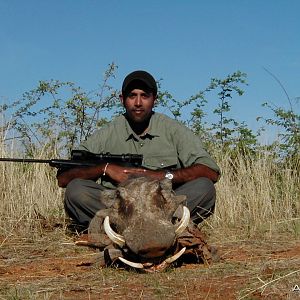 Hunting Warthog in Namibia