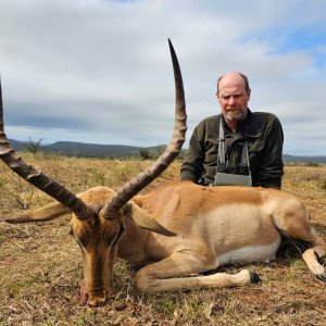 Impala Hunt Eastern Cape South Africa