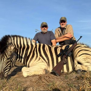 Zebra Hunt Eastern Cape South Africa