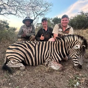 Zebra Hunt Eastern Cape South Africa