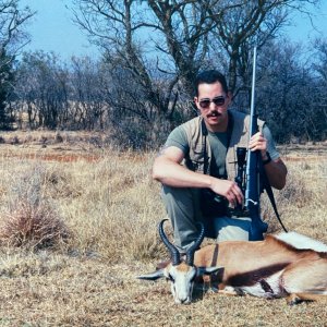 Springbok Hunt South Africa