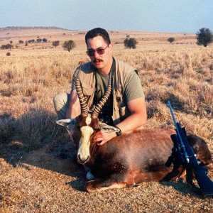 Blesbok Hunt South Africa