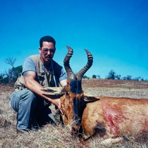 Red Hartebeest Hunt South Africa