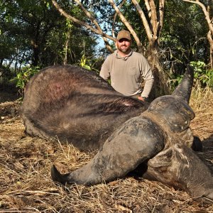 Hunting Cape Buffalo