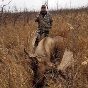 Alaskan Moose Hunt