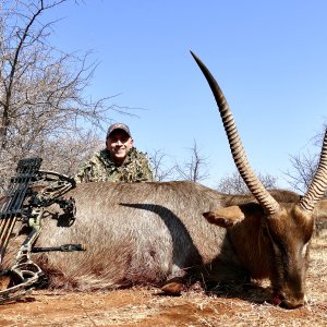 Waterbuck taken at 22 yards at Doornrand Safaris