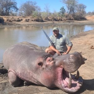 Hippo Hunt South Africa