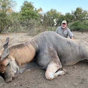 Eland Hunt Zimbabwe