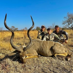 Kudu Bow Hunt South Africa