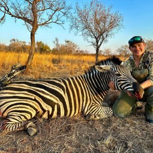 Zebra Bow Hunt South Africa